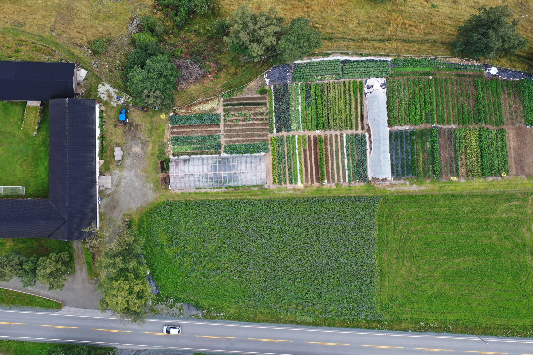 Markedshagen i 2021.