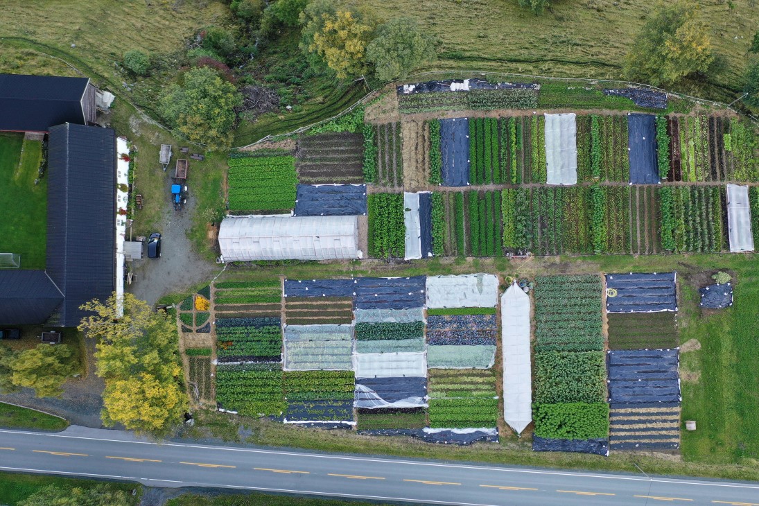 Markedshagen i 2022.