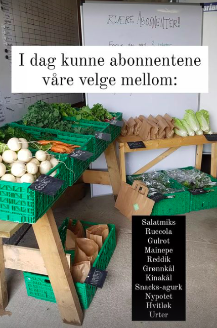 Plukkelisten klar til abonnentene. 