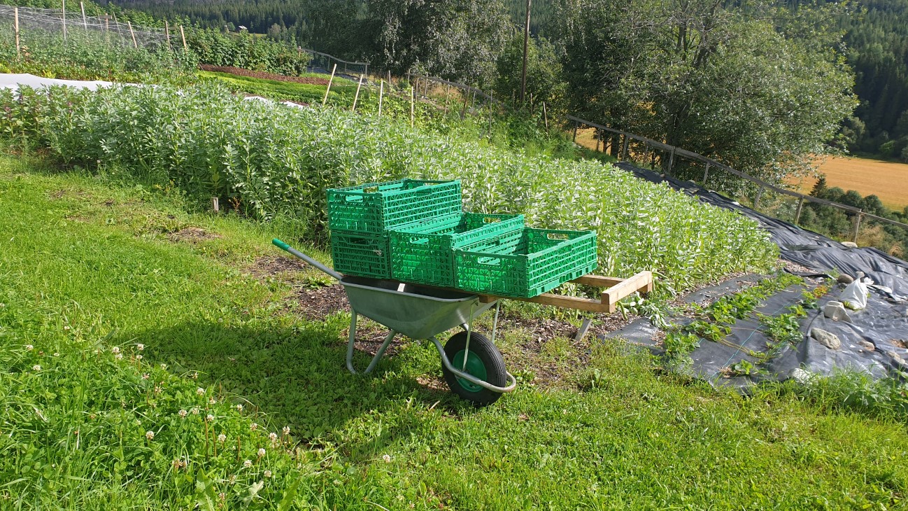 Stativ for trillebårer med kasser. 