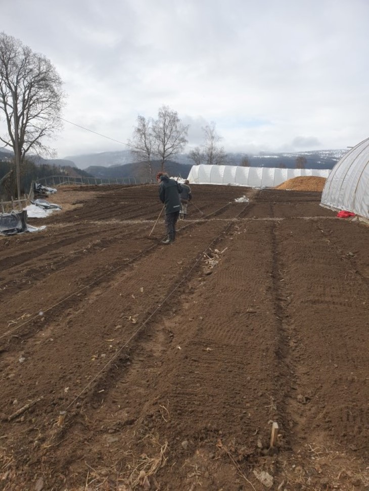 Våronn med oppmerking av bed.