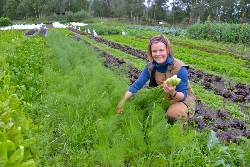 Sofia står på huk i åkeren og har viser frem en grønn grønnsak