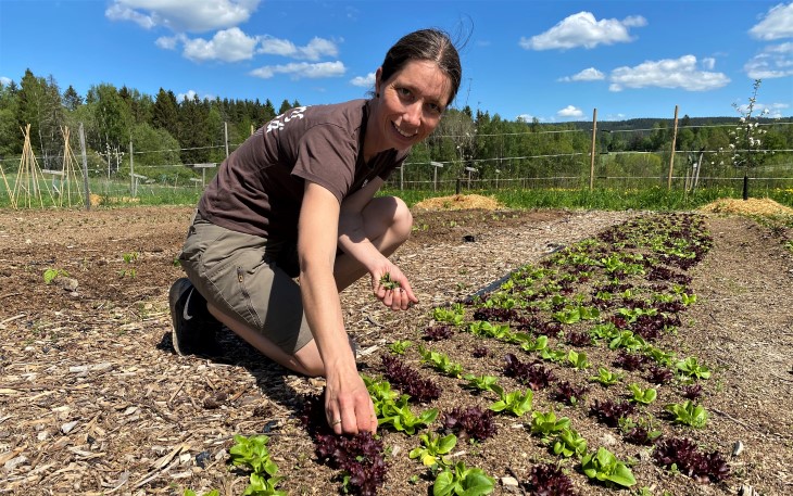 Randi luker i salatbedene i en markedshage, og ønsker at flere bønder satser på småskala grønsaksproduksjon med salg til lokale markeder.