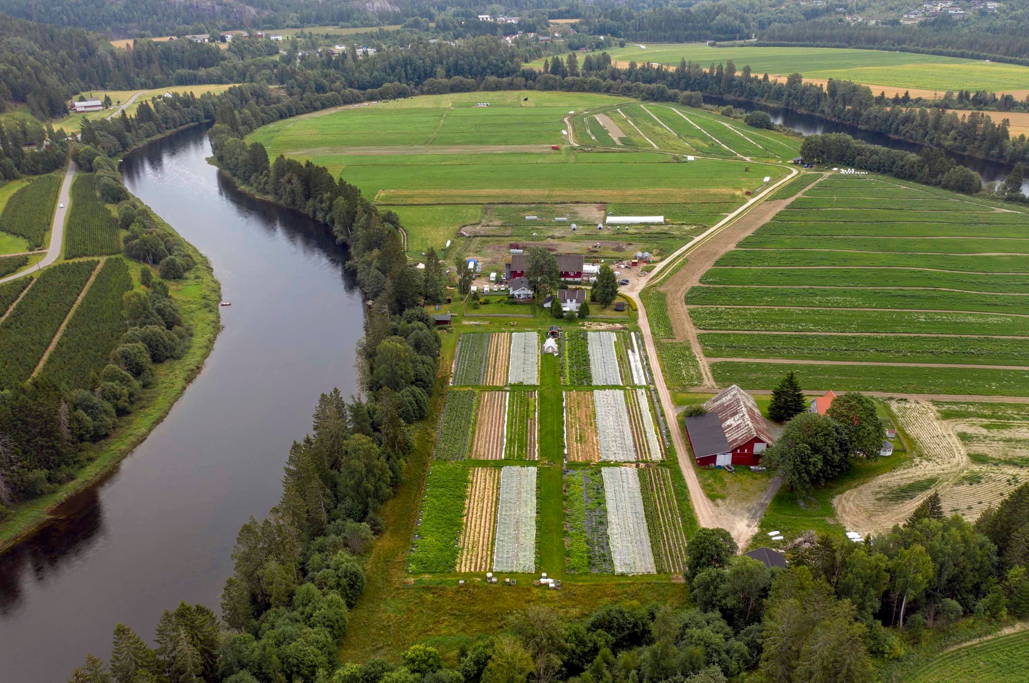 Virgenes Andelsgård (Larvik) er en bondestyrt andelsgård med markedshage. I tillegg til vegetarandelen (grønnsaker, potet og bær), produserer og selger de også andeler på egg og kjøtt. 