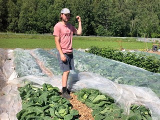 Sigurd Vassenden, Grønt frå Grøndal