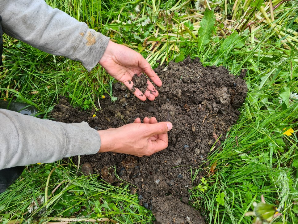 Jord, hender, grønsaksjord