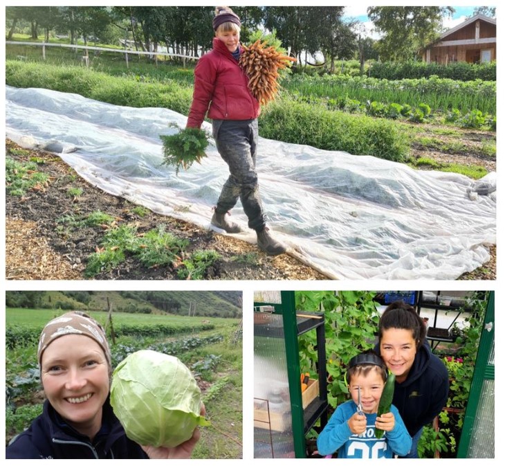 Sofia Maria Bang Elm frå Avdem gardsgrønt (øvst) i Lesja, Renate Rendedal (nede t.v.) i Balestrand i Sogn og Kristine M. Biseth frå Mundheim i Hardanger, hadde alle innlegg på inspirasjonssamlinga for markedshager i Vestland i 2020. Innovasjon Norge v/May Britt Otterlei hadde også eit innlegg. 